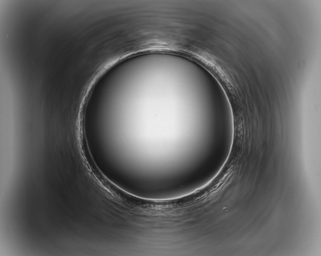 X0000097891375200803211347