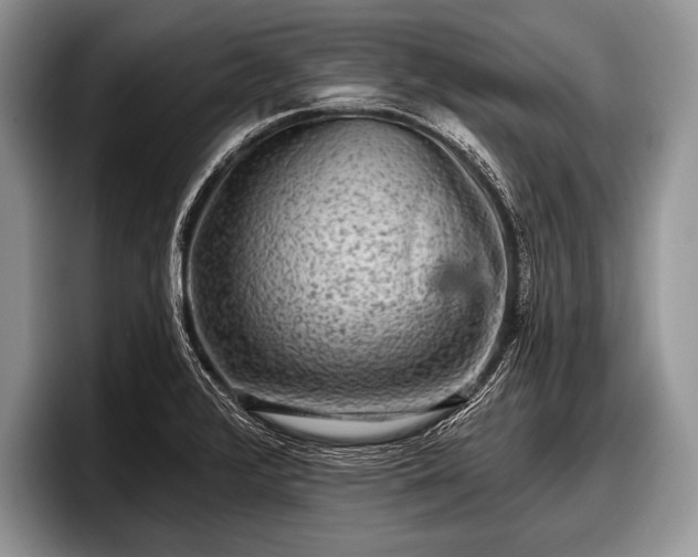 X0000097891376200803211347