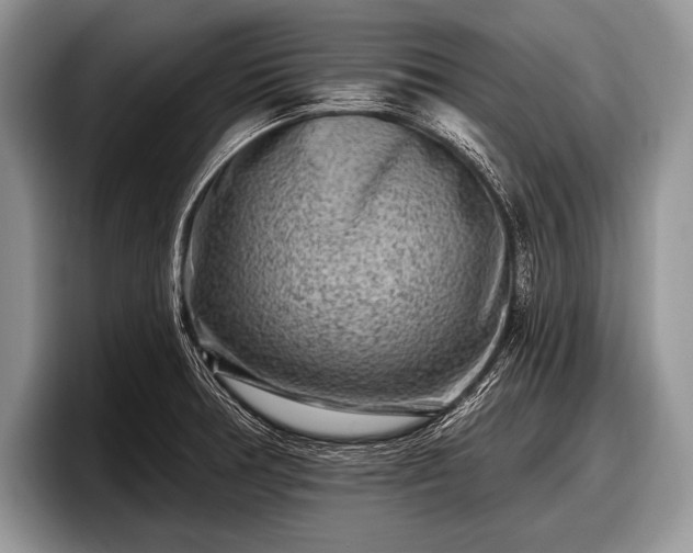 X0000097891378200803211347