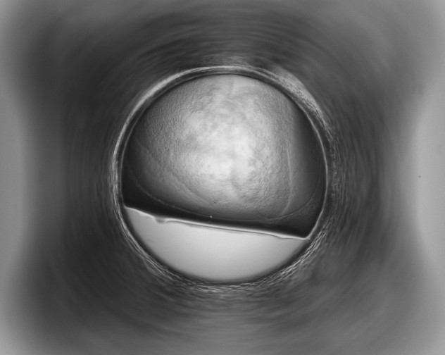 X0000097891380200803211347