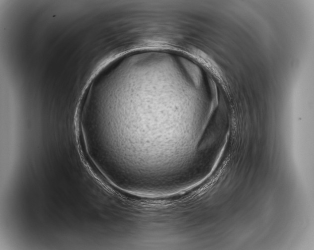 X0000097891382200803211347