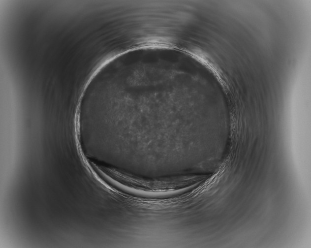 X0000097891383200803211347