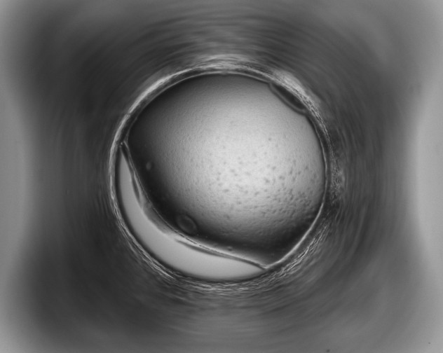 X0000097891384200803211347