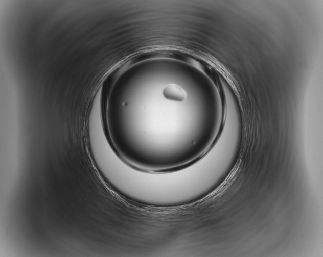 X0000097891385200803211347