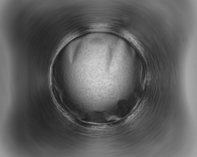 X0000097891386200803211347