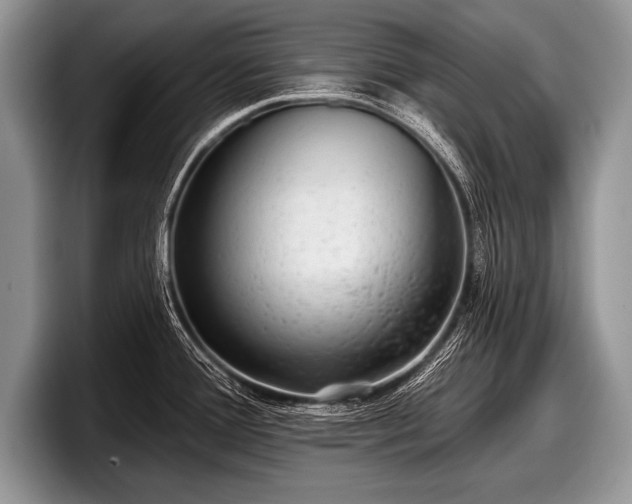 X0000097891388200803211347