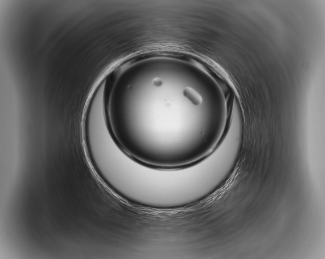 X0000097891389200803211347