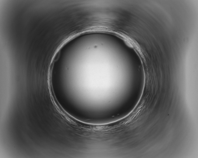 X0000097891390200803211347