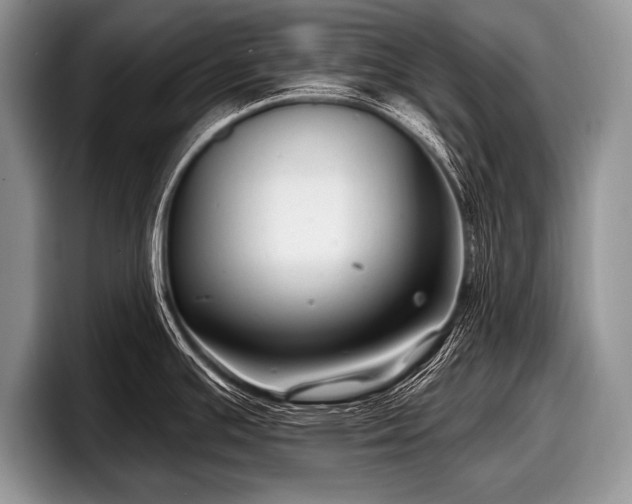 X0000097891391200803211347