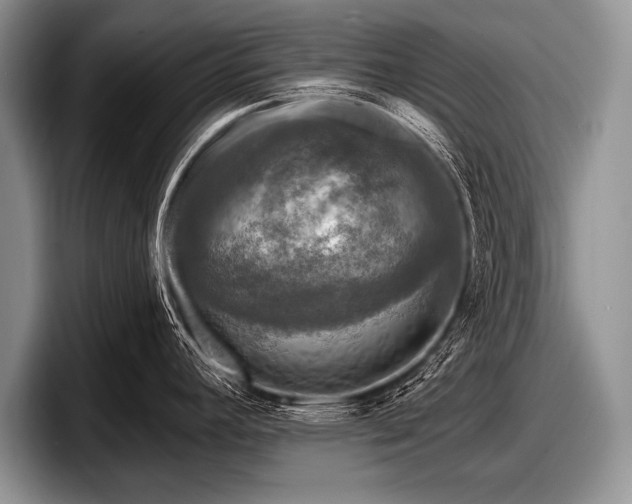 X0000097891392200803211346