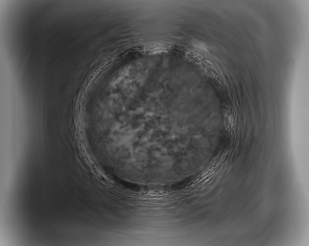 X0000097891393200803211346