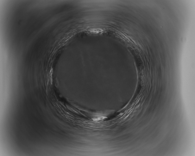 X0000097891394200803211346