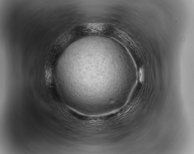 X0000097891395200803211346