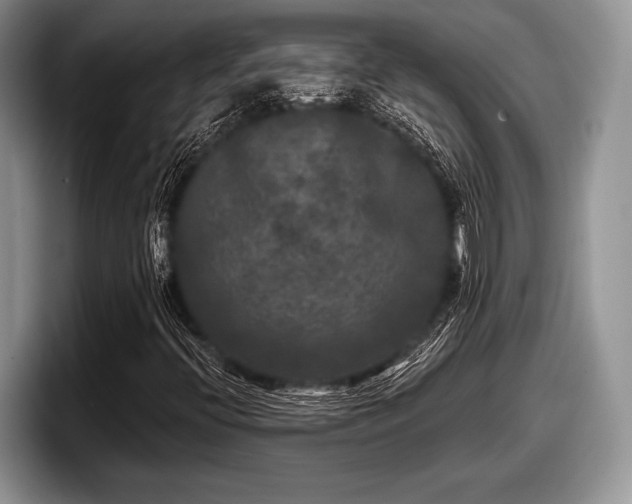 X0000097891396200803211346