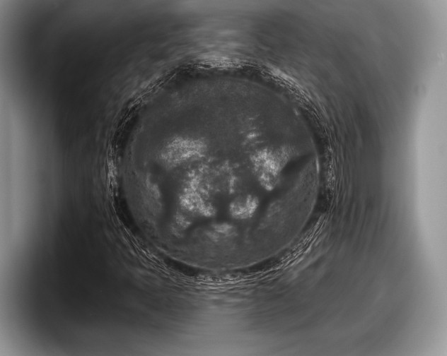 X0000097891397200803211346