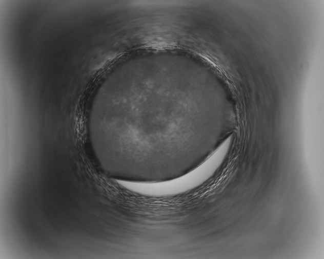 X0000097891398200803211346