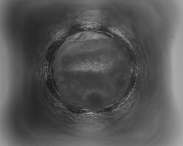 X0000097891399200803211346