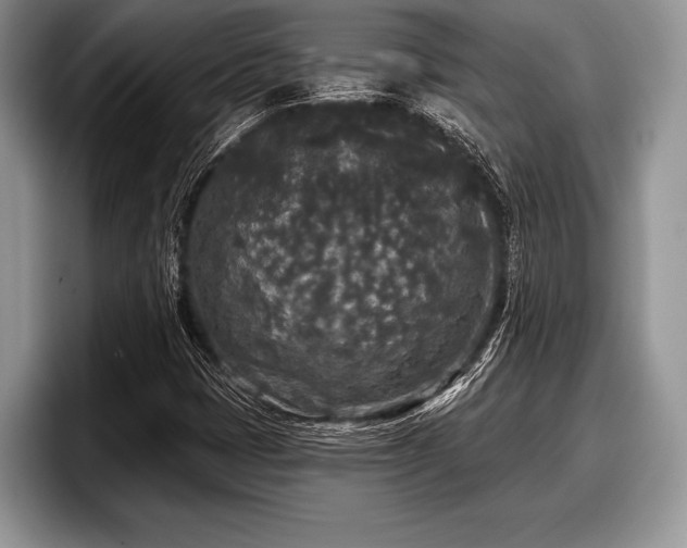 X0000097891401200803211346