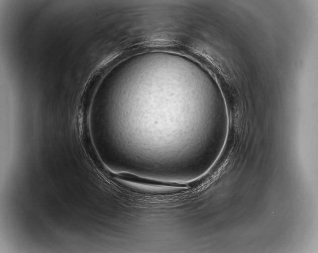 X0000097891402200803211346