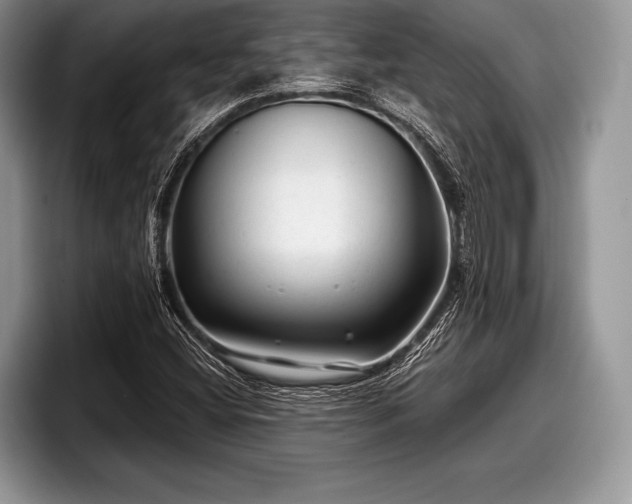 X0000097891404200803211346