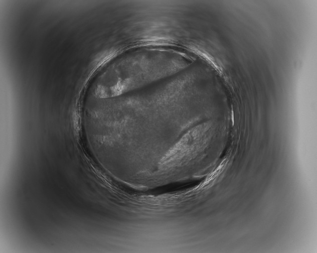 X0000097891405200803211346