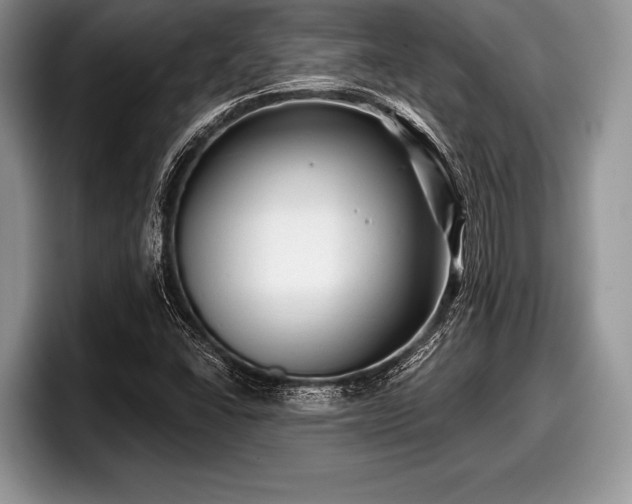X0000097891406200803211346