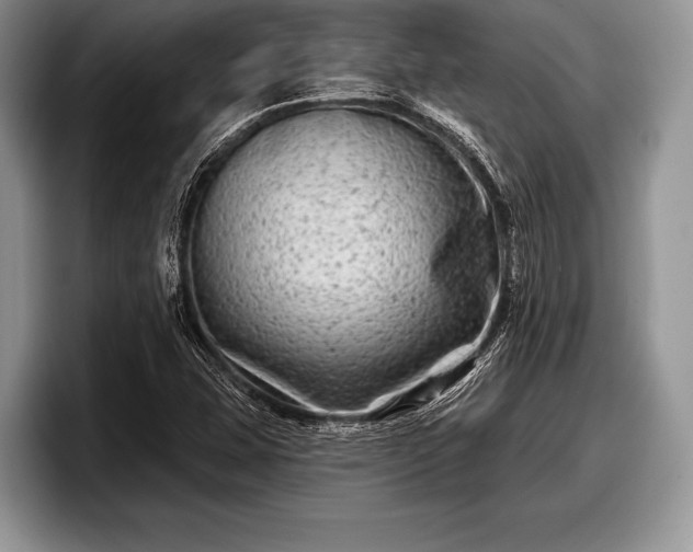 X0000097891407200803211346