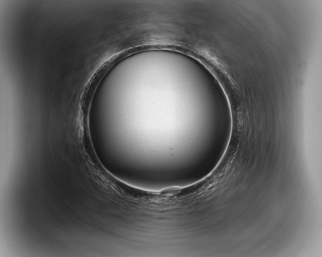 X0000097891408200803211346