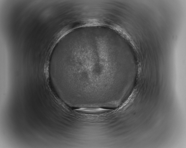 X0000097891409200803211346
