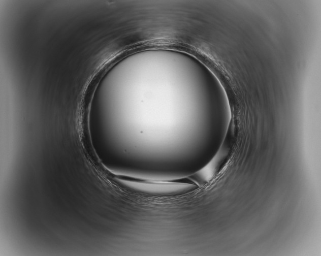 X0000097891410200803211346