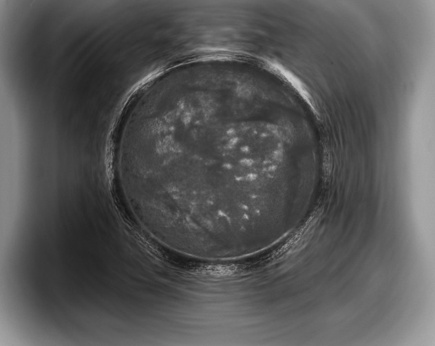 X0000097891411200803211346