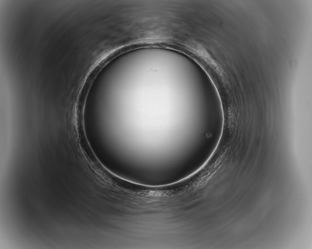 X0000097891412200803211346
