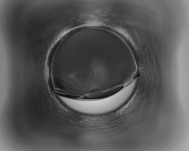 X0000097891414200803211346