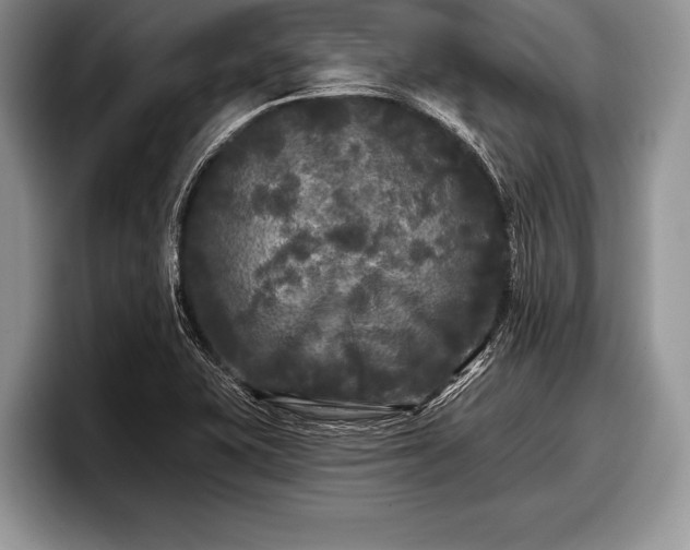 X0000097891415200803211346