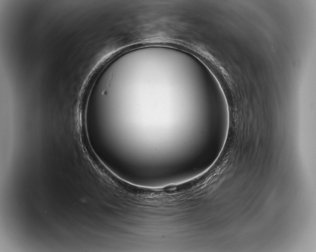 X0000097891416200803211346