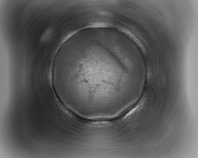 X0000097891417200803211346
