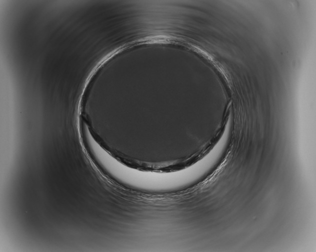 X0000097891418200803211346