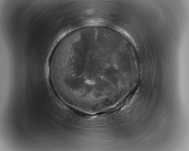 X0000097891419200803211346
