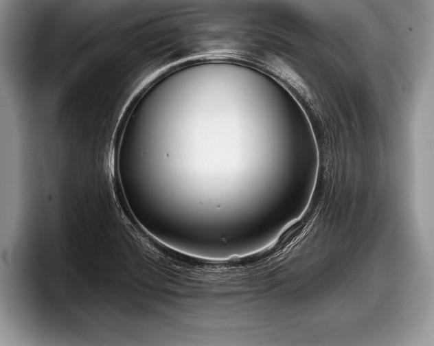 X0000097891420200803211346