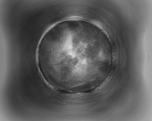 X0000097891421200803211346