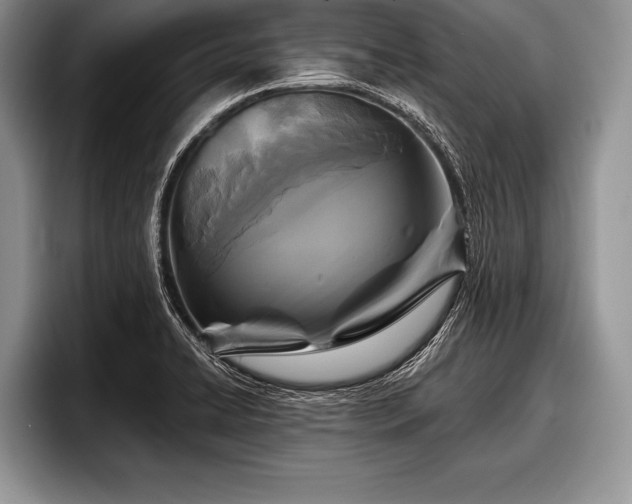 X0000097891422200803211346