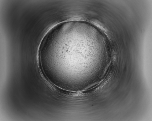 X0000097891423200803211346