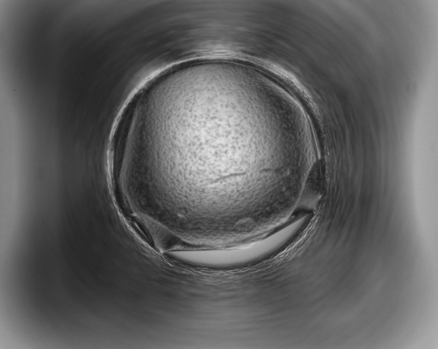 X0000097891424200803211346