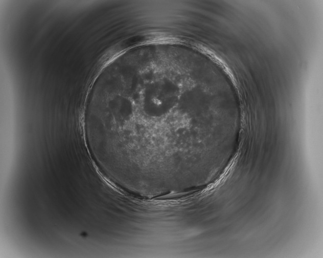 X0000097891425200803211346