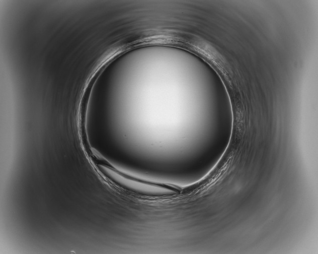 X0000097891426200803211346
