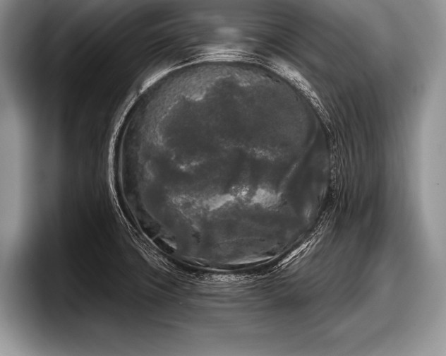 X0000097891427200803211346