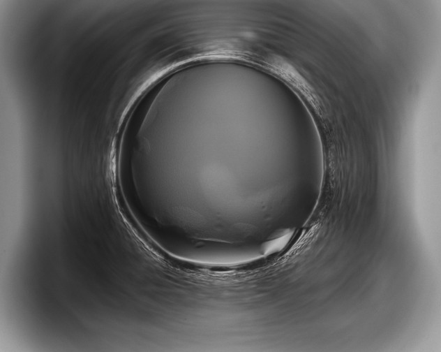 X0000097891428200803211346