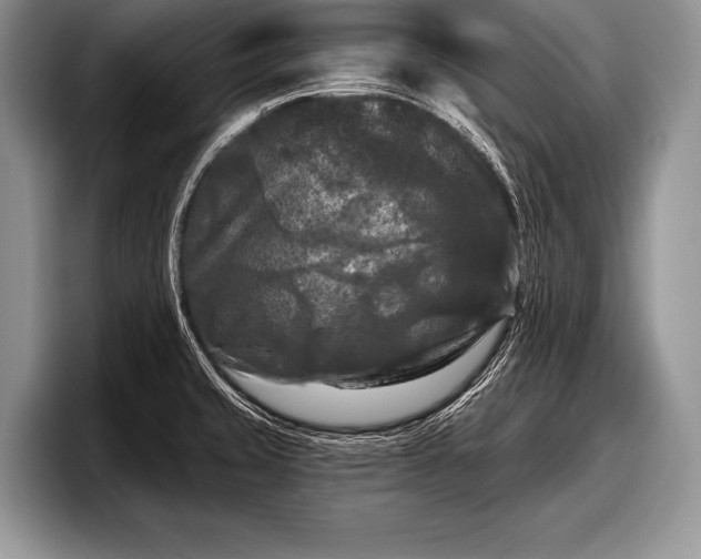 X0000097891429200803211346