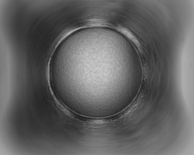 X0000097891431200803211346