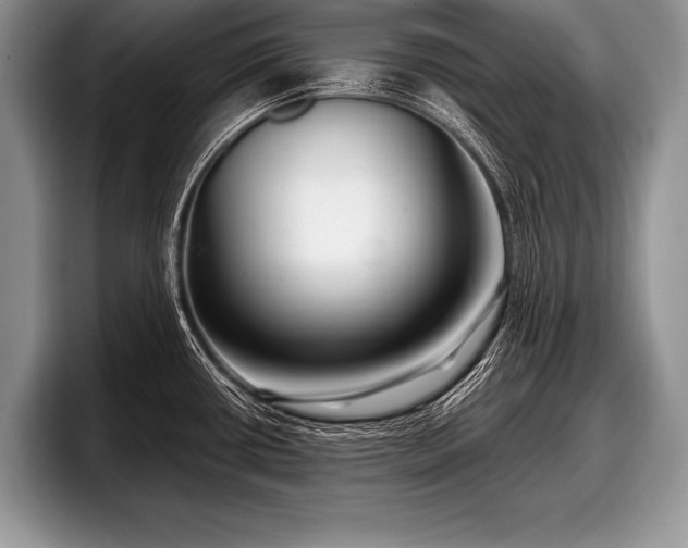 X0000097891434200803211346